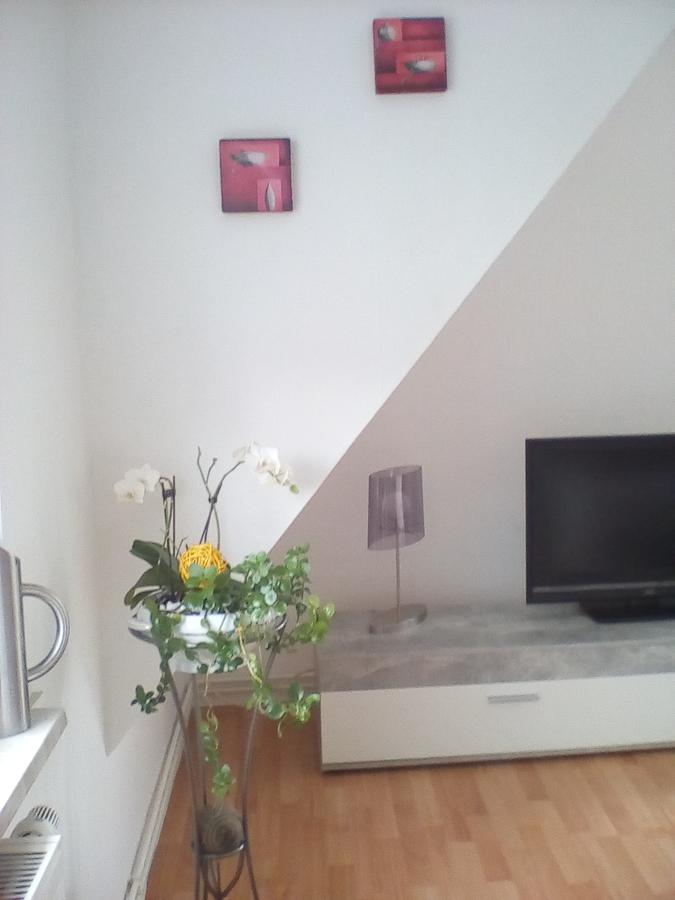 Ferienwohnung Am Geiersberg Walkenried Ngoại thất bức ảnh