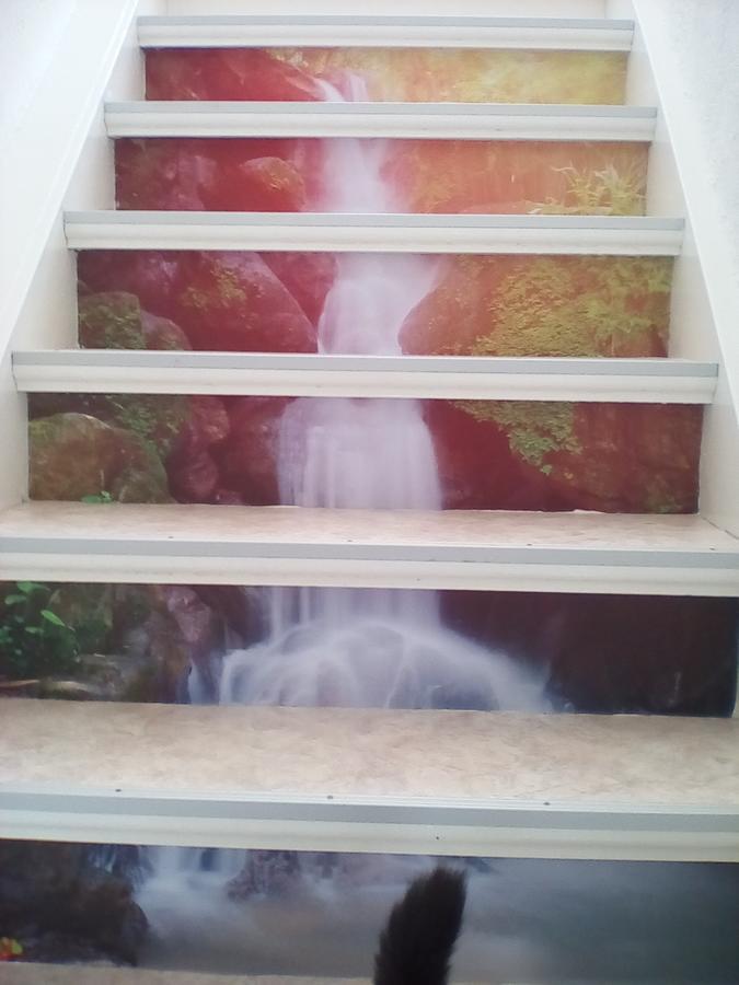 Ferienwohnung Am Geiersberg Walkenried Ngoại thất bức ảnh