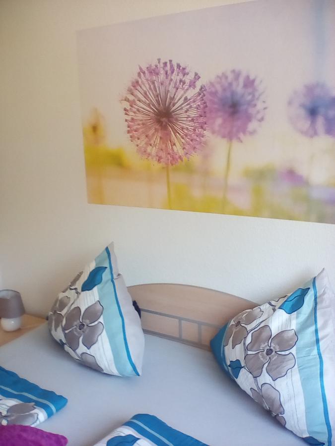 Ferienwohnung Am Geiersberg Walkenried Ngoại thất bức ảnh