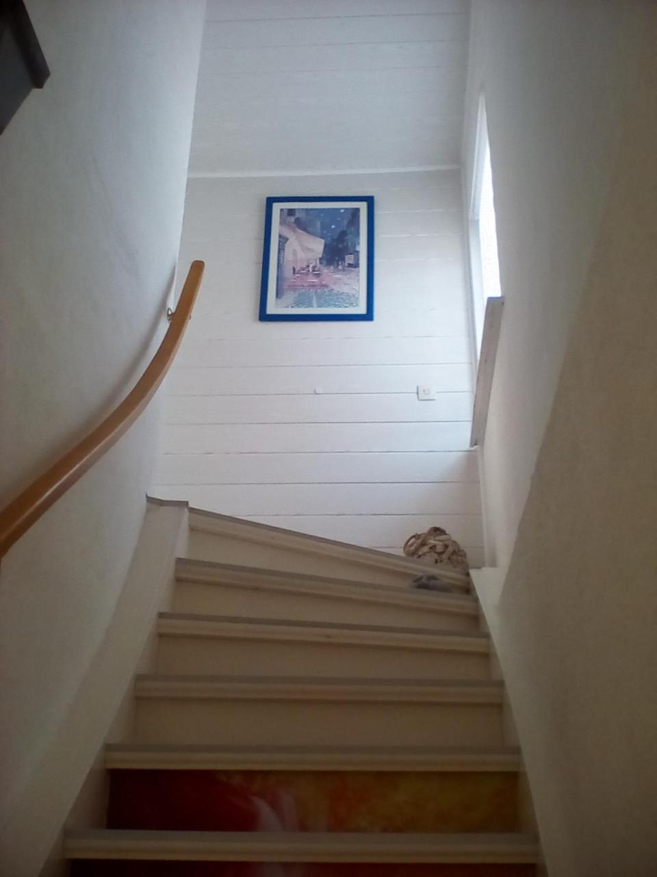 Ferienwohnung Am Geiersberg Walkenried Ngoại thất bức ảnh